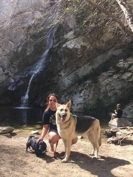 A German shepherd and a little pup at the falls